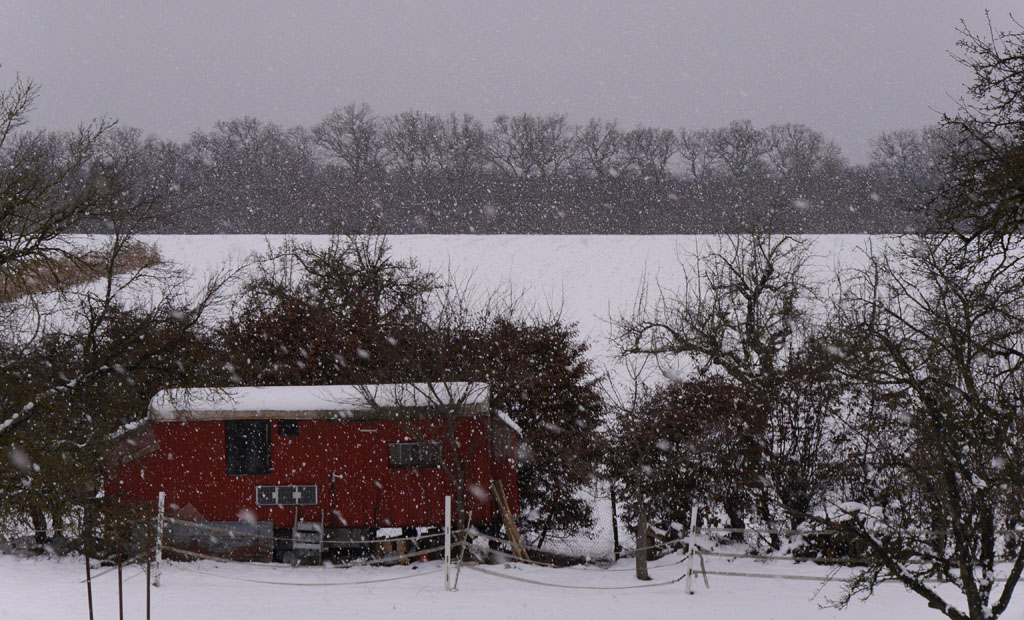 Waldhausen im Winter